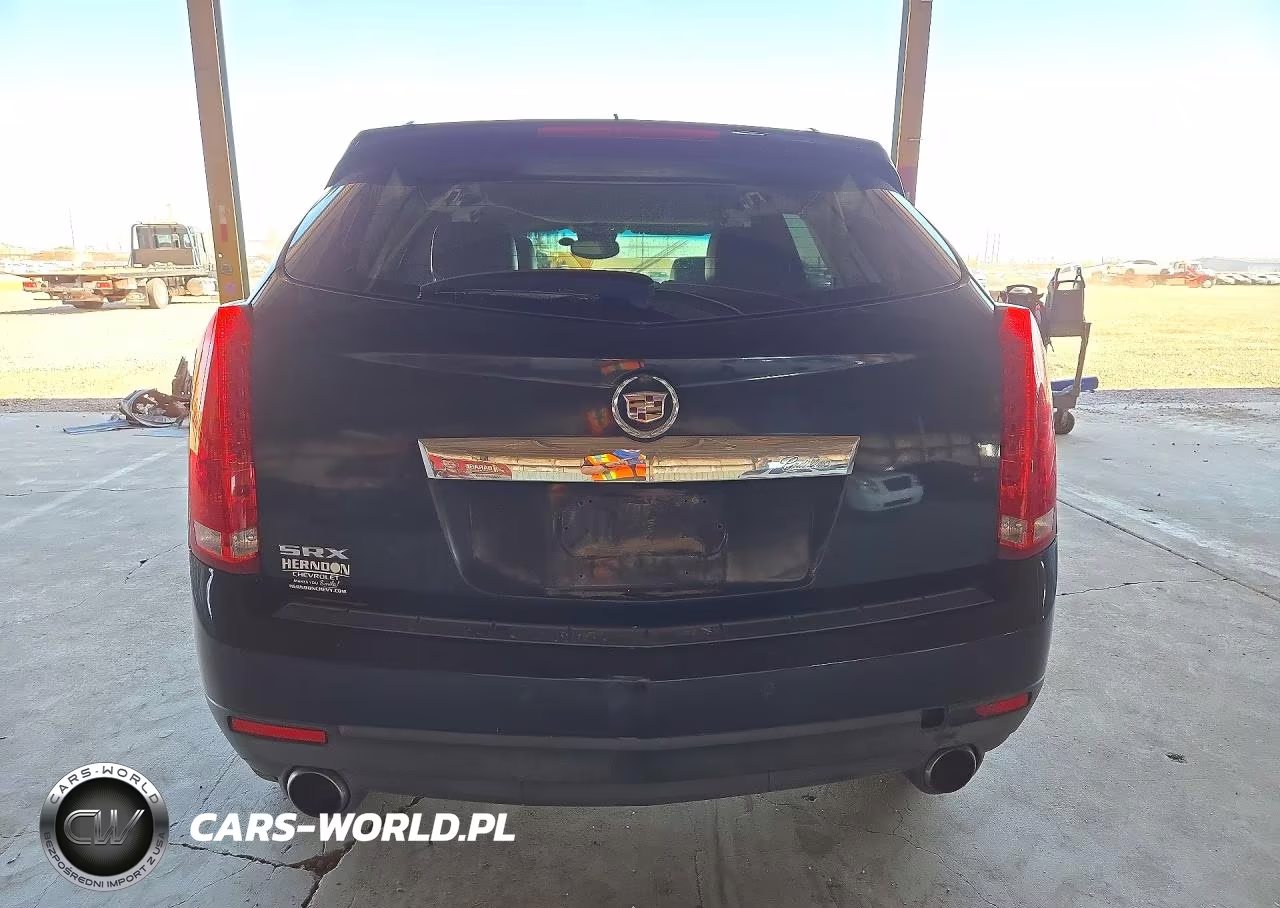 2010 Cadillac Srx Luxury Collection VIN:3GYFNAEY4AS516317 - 6