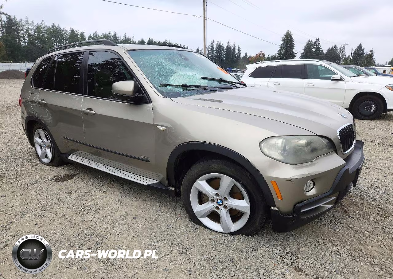 BMW X5 3.0I VIN:5UXFE43547L039949 - 4