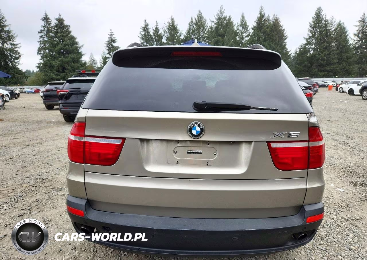 BMW X5 3.0I VIN:5UXFE43547L039949 - 6