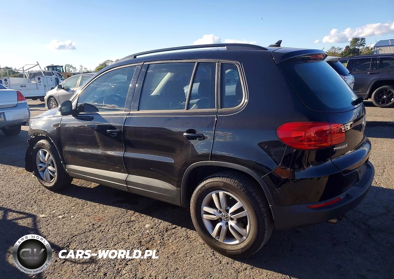 2017 Volkswagen Tiguan S VIN:WVGBV7AX0HK031078 - 2