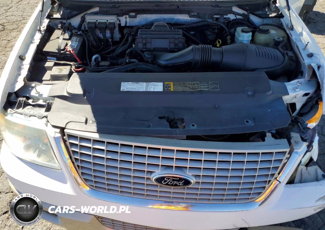 2006 Ford Expedition Eddie Bauer VIN:1FMPU18586LA82958 - 12