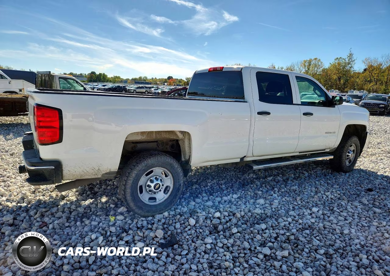 2019 Chevrolet Silverado K2500 Heavy Duty VIN:1GC1KREGXKF197980 - 3