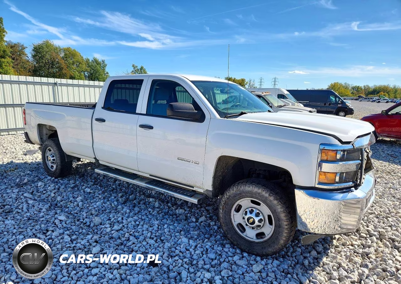 2019 Chevrolet Silverado K2500 Heavy Duty VIN:1GC1KREGXKF197980 - 4