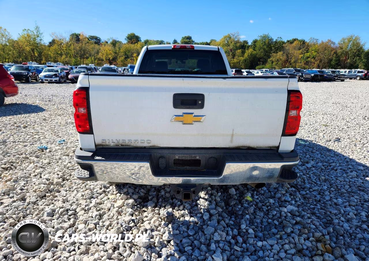 2019 Chevrolet Silverado K2500 Heavy Duty VIN:1GC1KREGXKF197980 - 6
