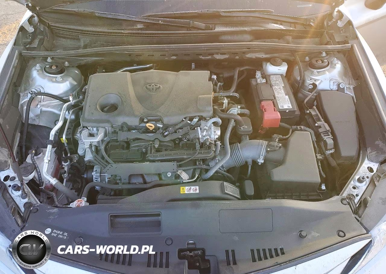 2023 Toyota Camry Le VIN:4T1C11AKXPU832931 - 11