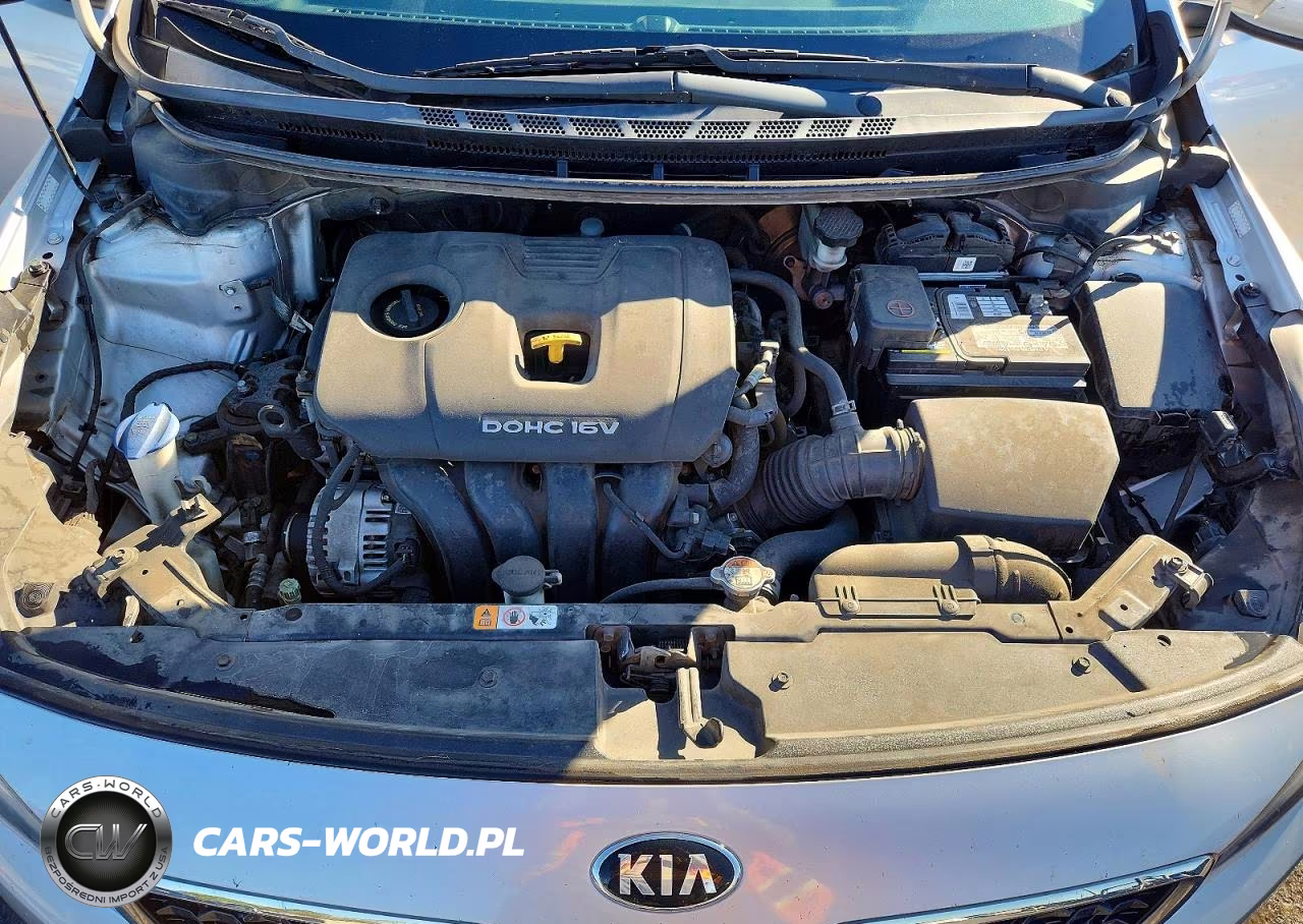 2017 Kia Forte Lx VIN:3KPFL4A79HE016110 - 11