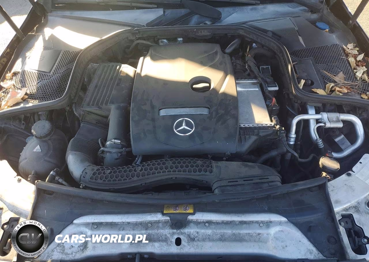 2017 Mercedes-Benz C 300 VIN:55SWF4JB1HU224972 - 11