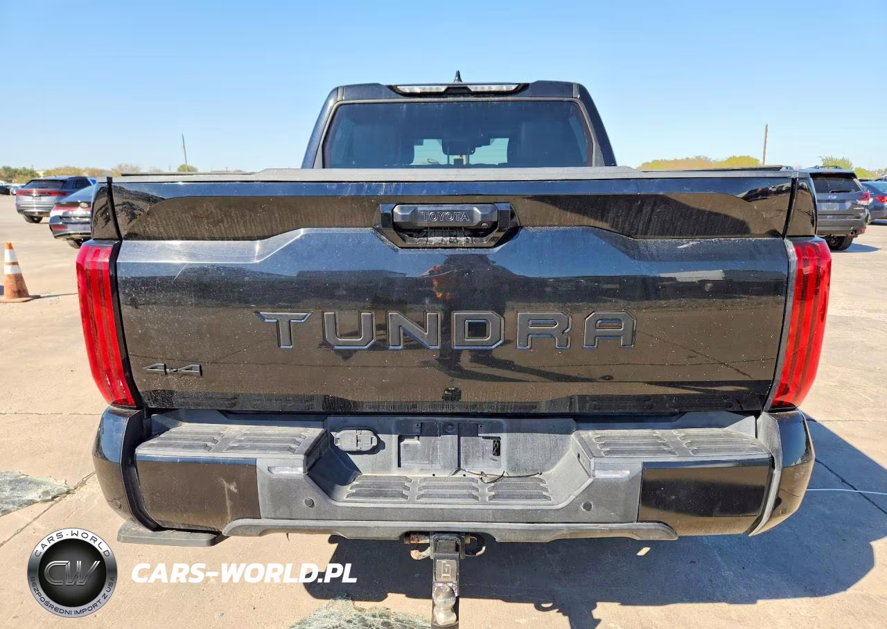 2022 Toyota Tundra Sr5 VIN:5TFLA5DBXNX032343 - 6