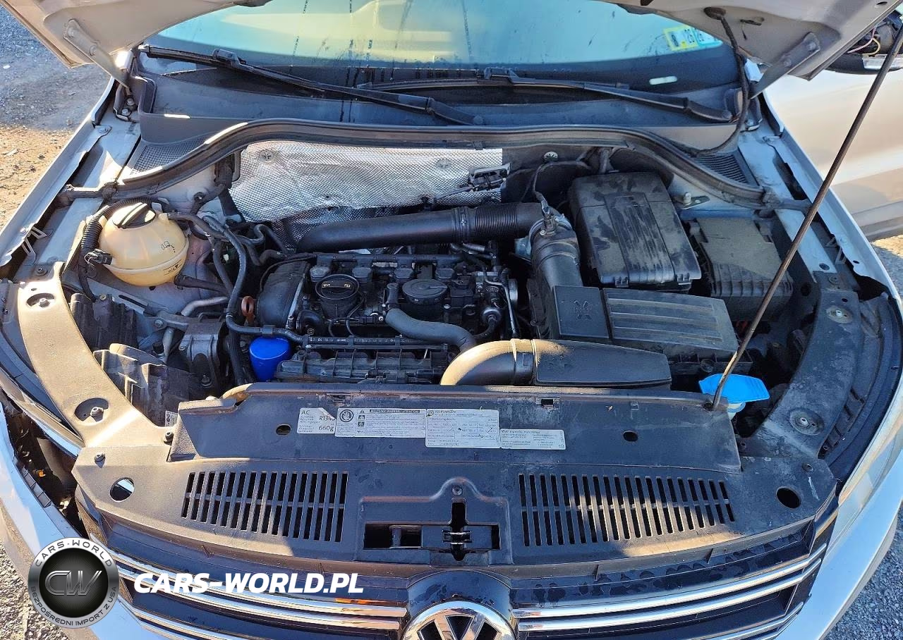 2013 Volkswagen Tiguan S VIN:WVGAV7AX2DW502081 - 12