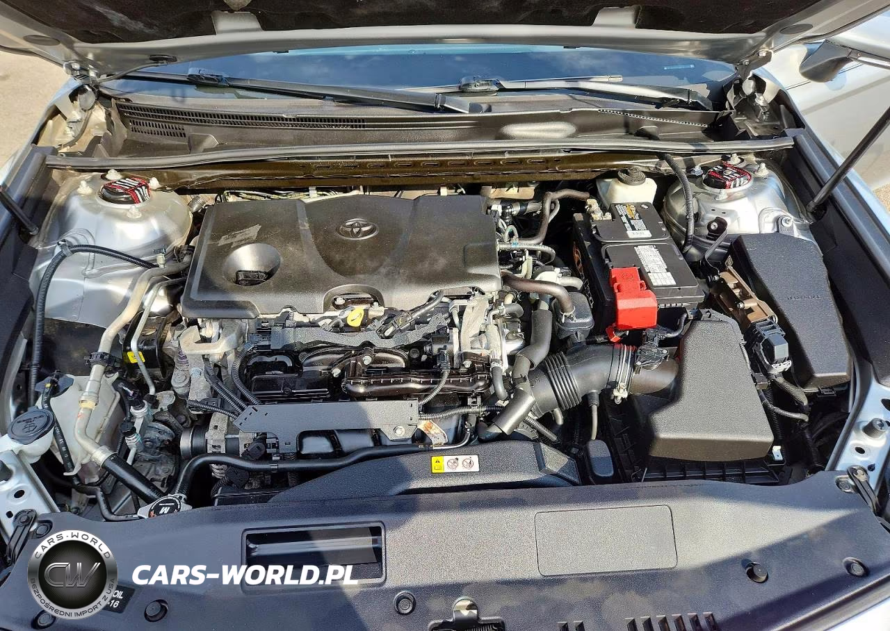 2019 Toyota Camry Se VIN:4T1B11HK4KU746105 - 11