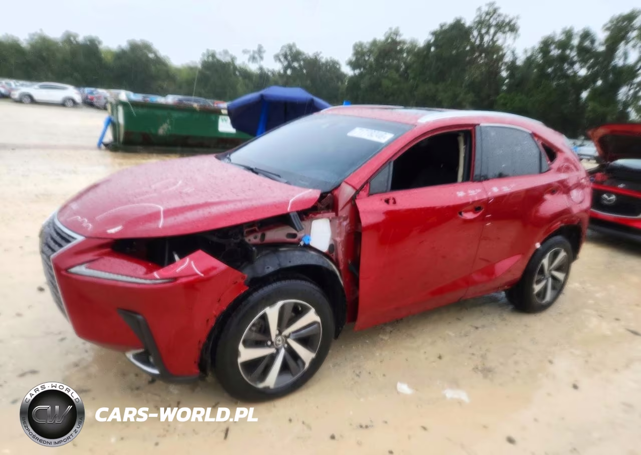 2019 Lexus Nx 300 Base – zdjęcie 1 z 14