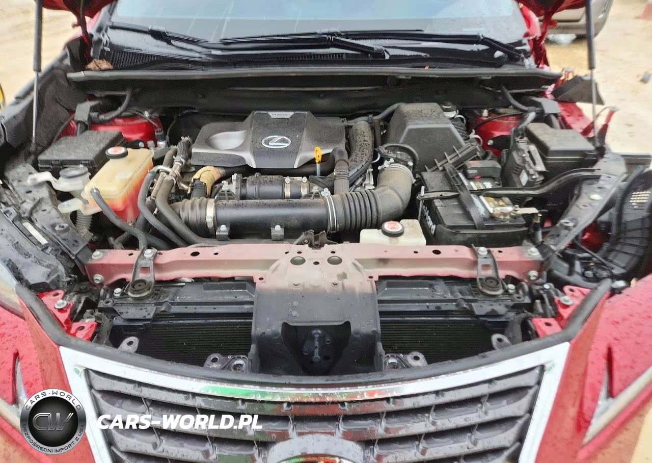 2019 Lexus Nx 300 Base VIN:JTJYARBZ4K2154618 - 12