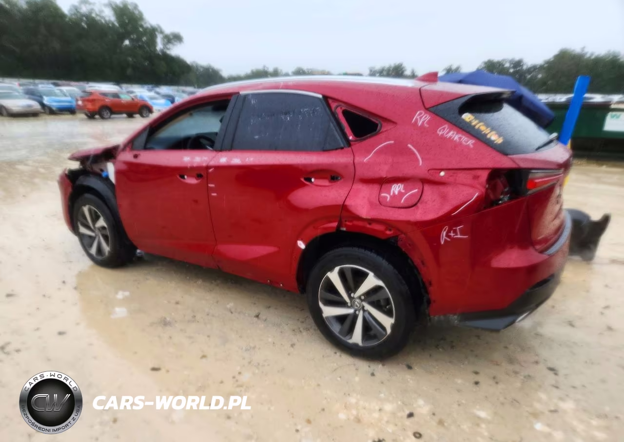 2019 Lexus Nx 300 Base VIN:JTJYARBZ4K2154618 - 2
