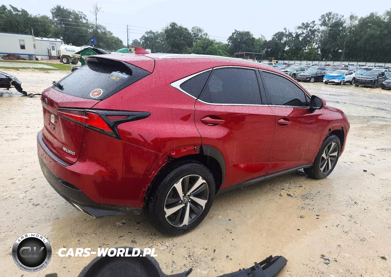 2019 Lexus Nx 300 Base VIN:JTJYARBZ4K2154618 - 3