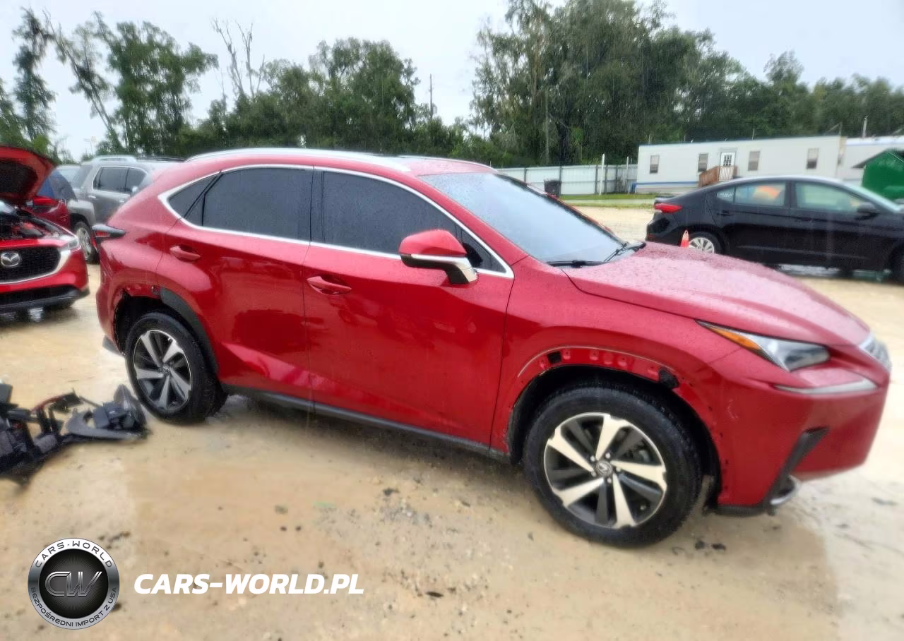 2019 Lexus Nx 300 Base VIN:JTJYARBZ4K2154618 - 4