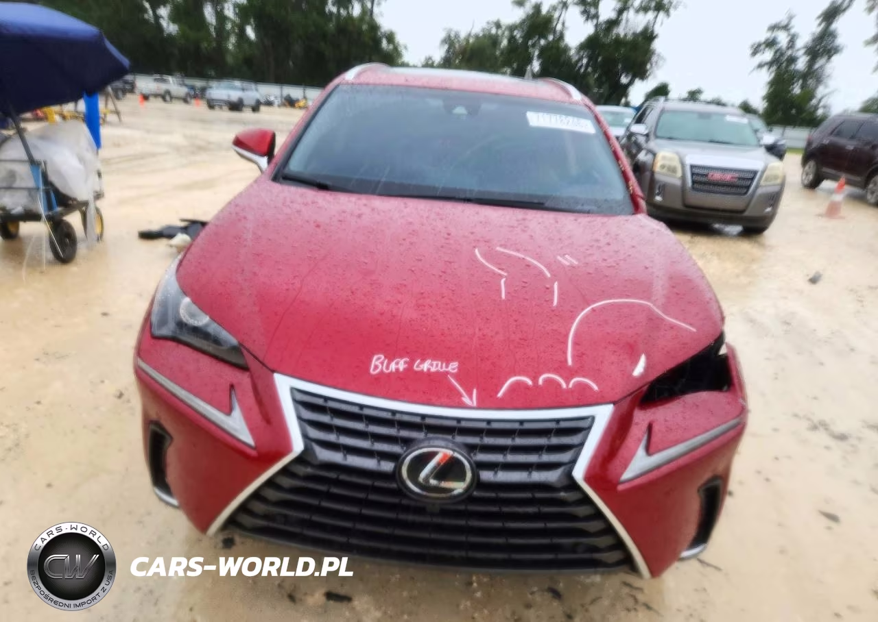 2019 Lexus Nx 300 Base VIN:JTJYARBZ4K2154618 - 5