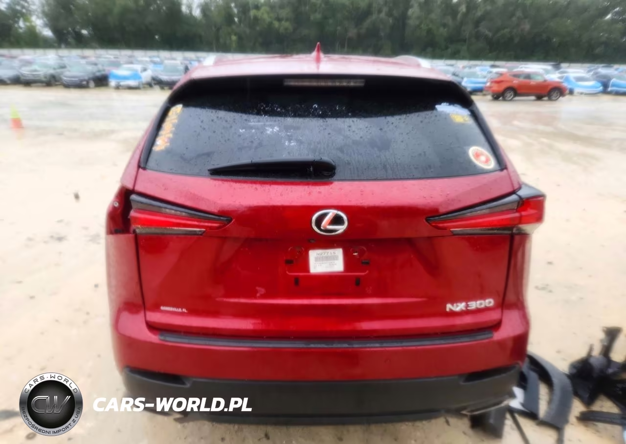 2019 Lexus Nx 300 Base VIN:JTJYARBZ4K2154618 - 6