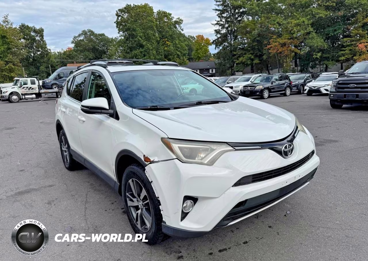 2016 Toyota Rav4 Xle VIN:2T3RFREV9GW517883 - 4