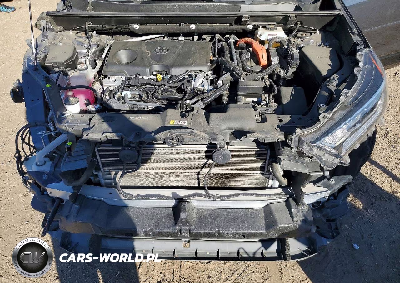 2019 Toyota Rav4 Xse VIN:JTMEWRFVXKD522688 - 11