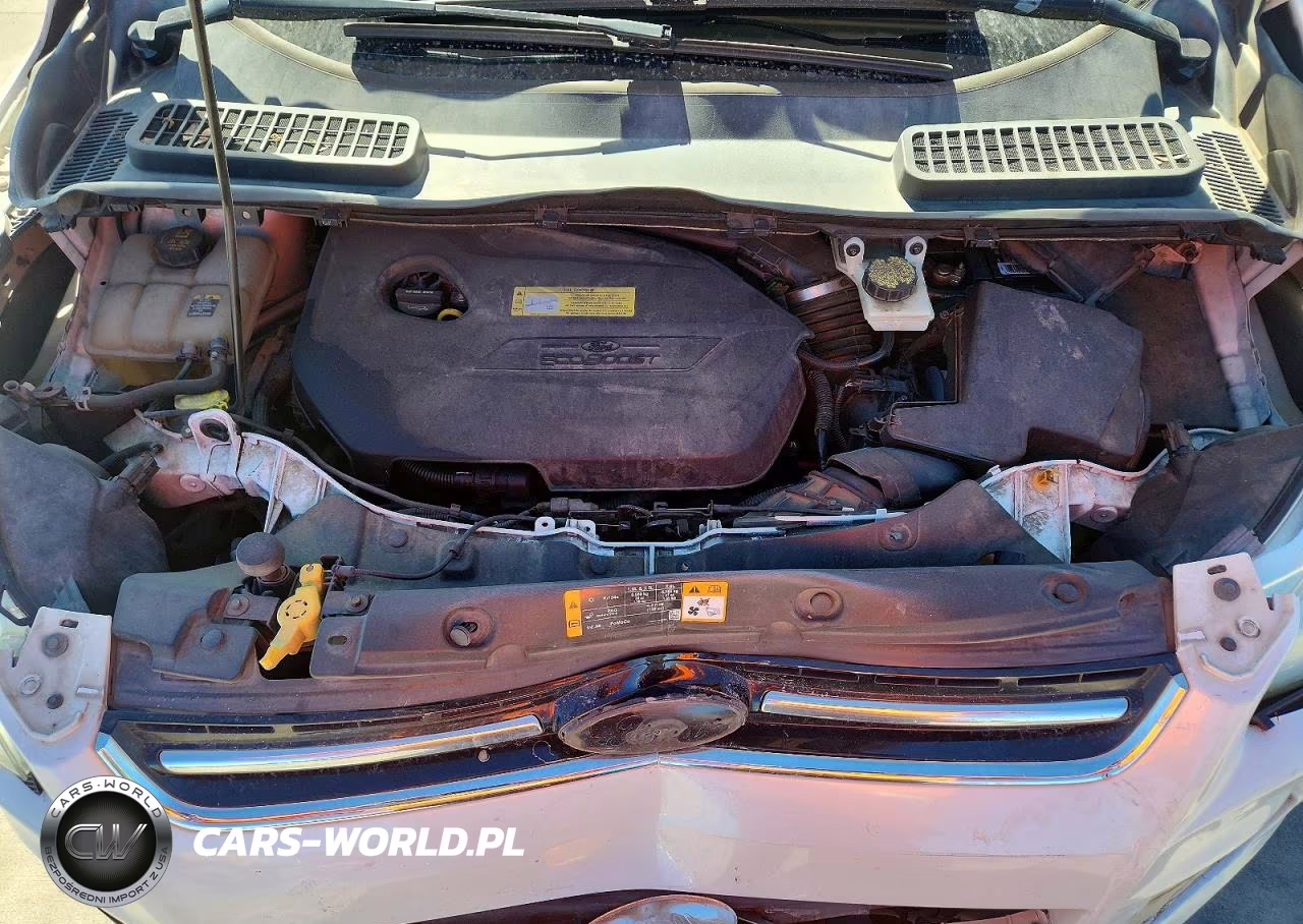 2013 Ford Escape Sel VIN:1FMCU0HX0DUD51987 - 12