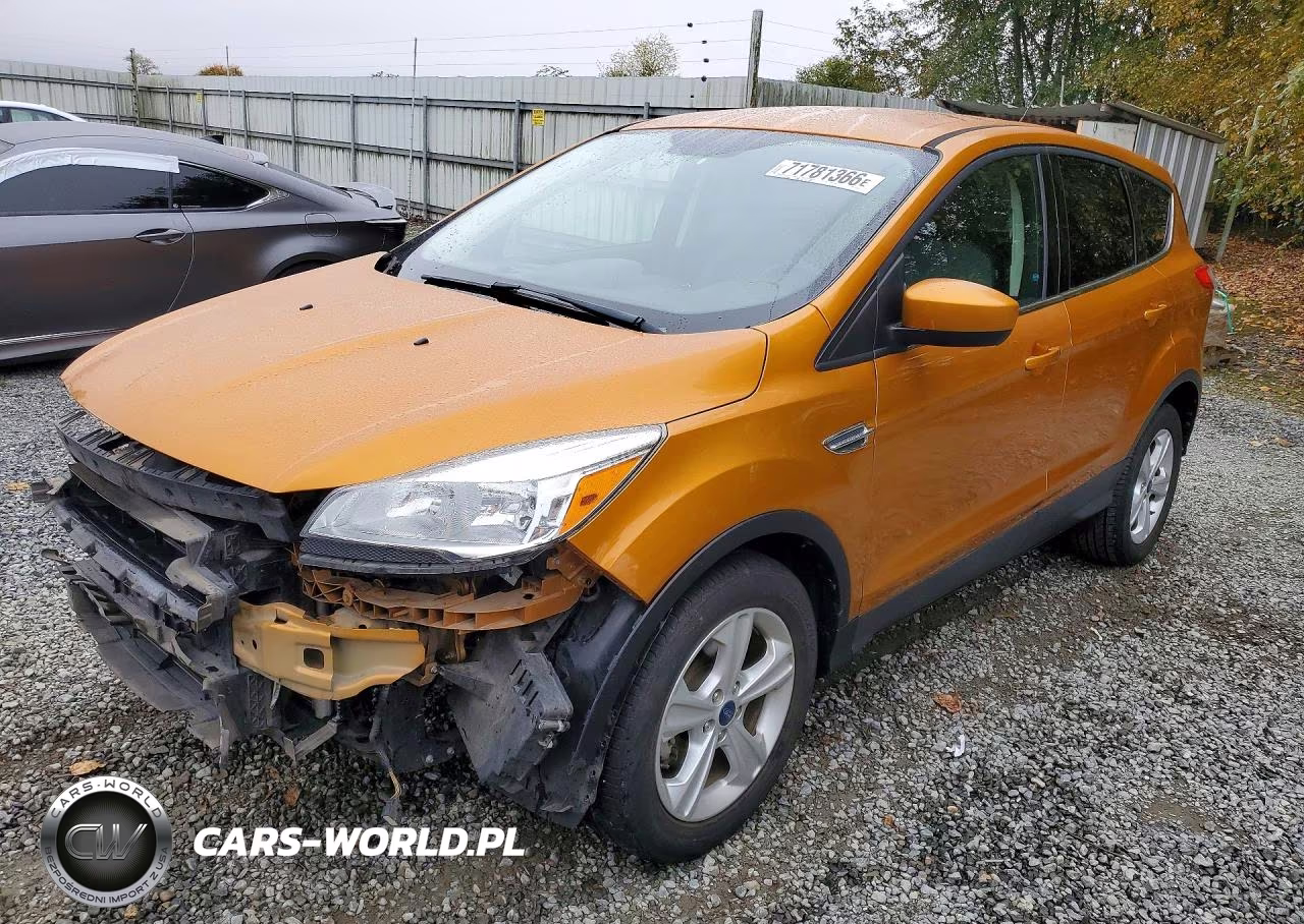 2016 Ford Escape Se VIN:1FMCU0G79GUC61257 - 1