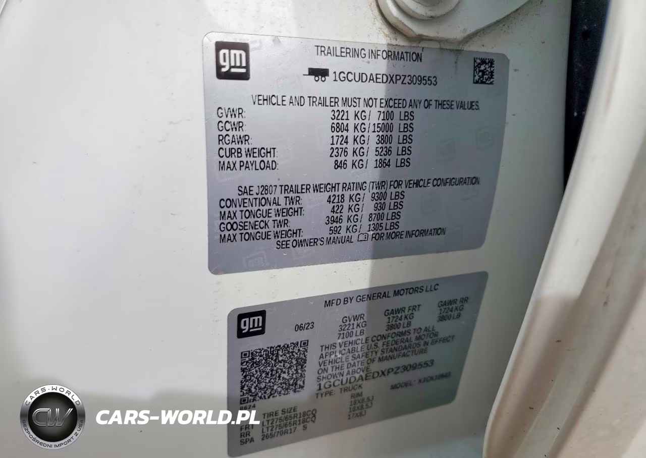 2023 Chevrolet Silverado K1500 VIN:1GCUDAEDXPZ309553 - 12