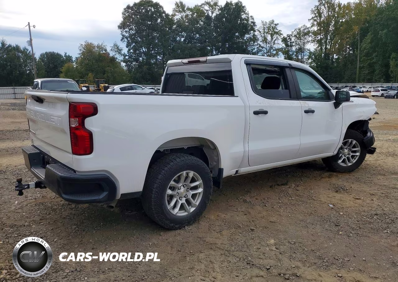 2023 Chevrolet Silverado K1500 VIN:1GCUDAEDXPZ309553 - 3