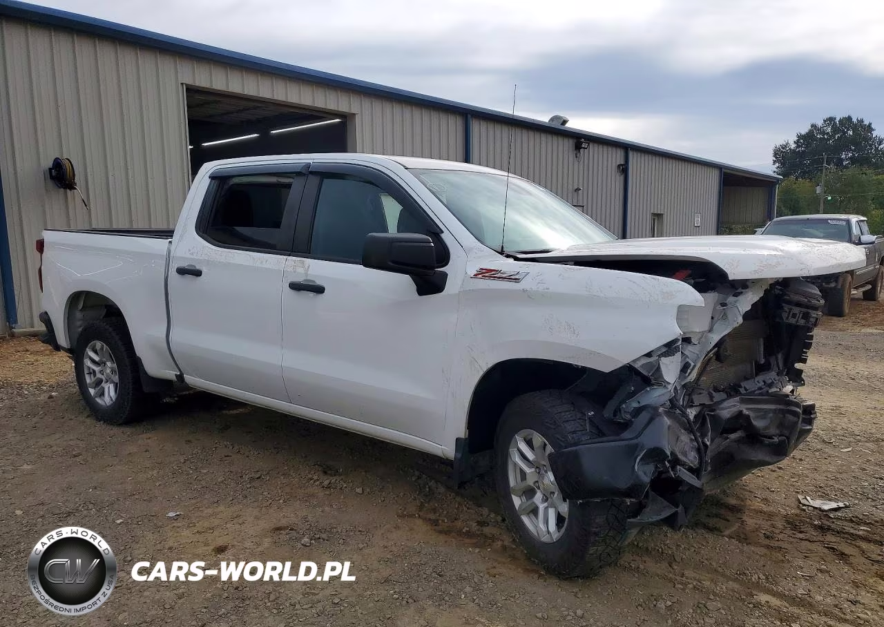 2023 Chevrolet Silverado K1500 VIN:1GCUDAEDXPZ309553 - 4