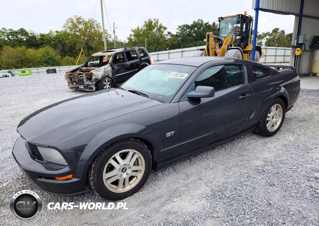 2007 Ford Mustang Gt VIN:1ZVHT82H175215604 - 1