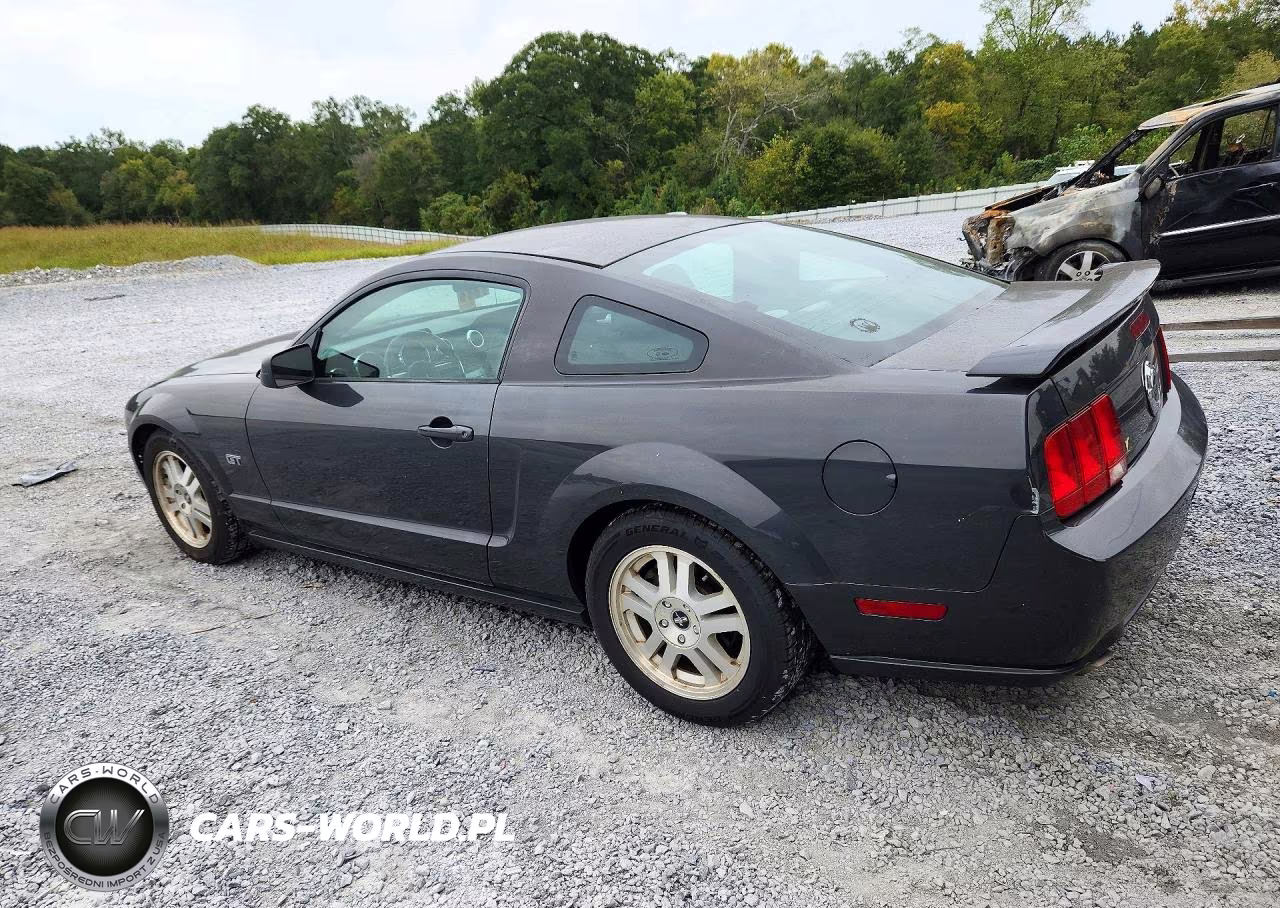 2007 Ford Mustang Gt VIN:1ZVHT82H175215604 - 2