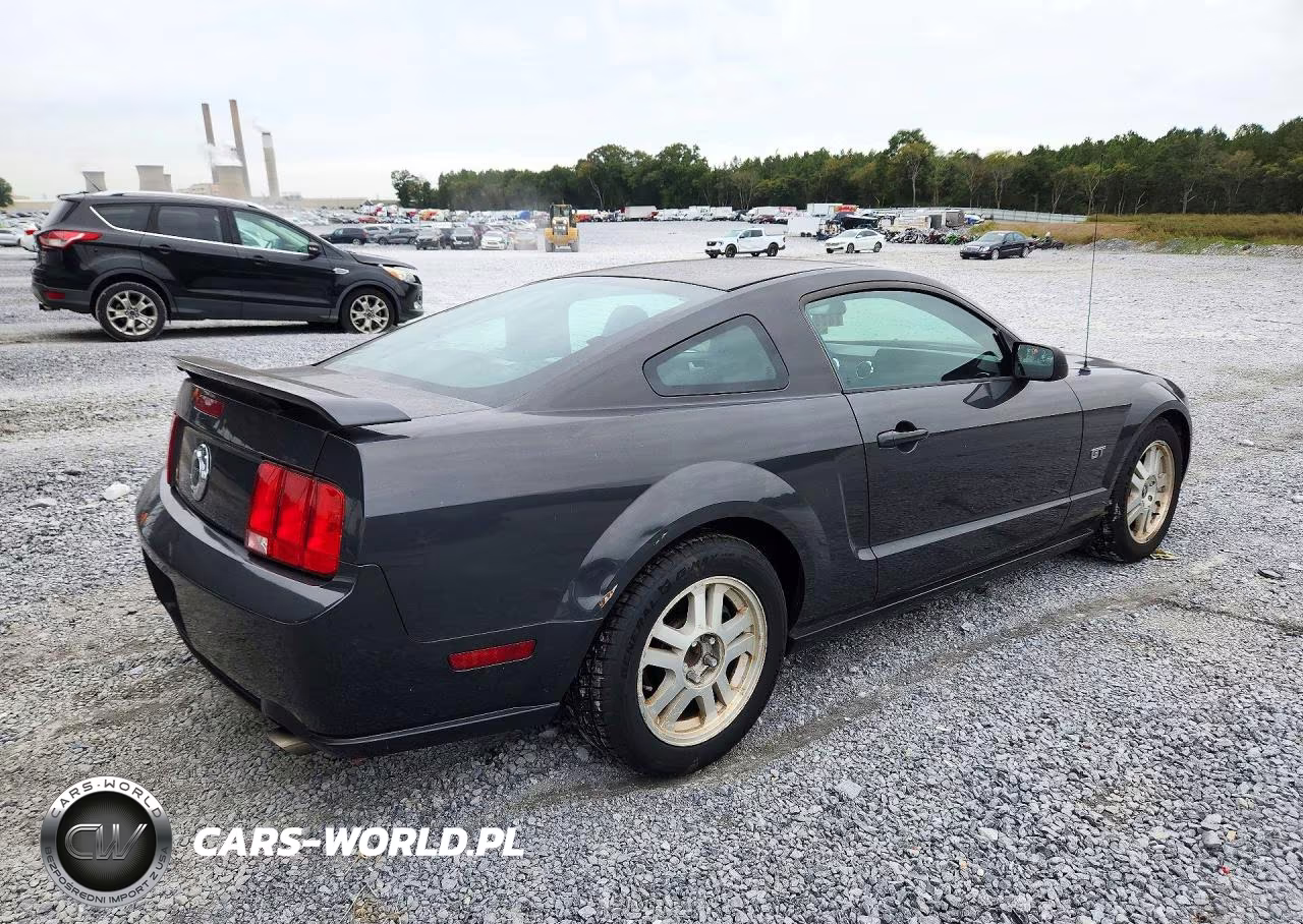 2007 Ford Mustang Gt VIN:1ZVHT82H175215604 - 3
