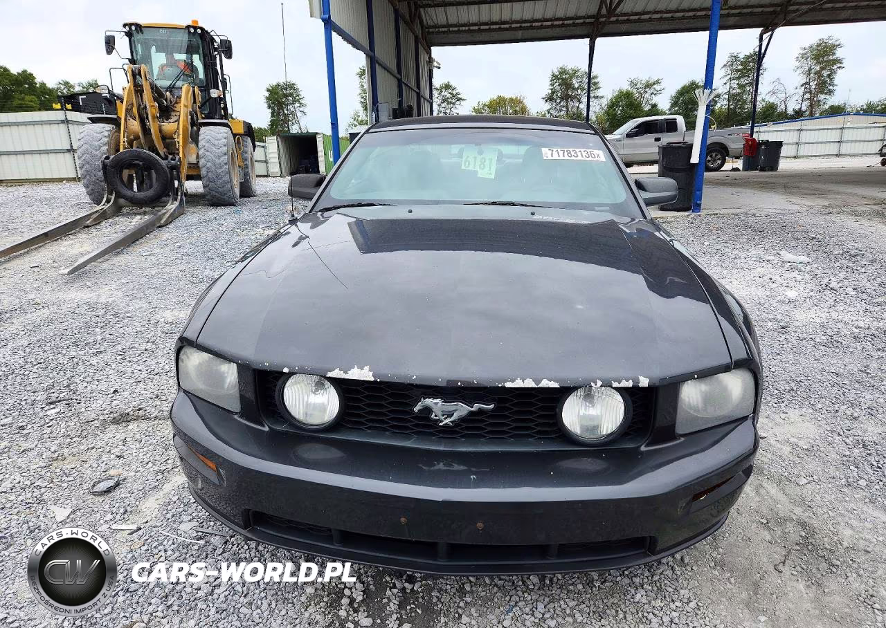 2007 Ford Mustang Gt VIN:1ZVHT82H175215604 - 5
