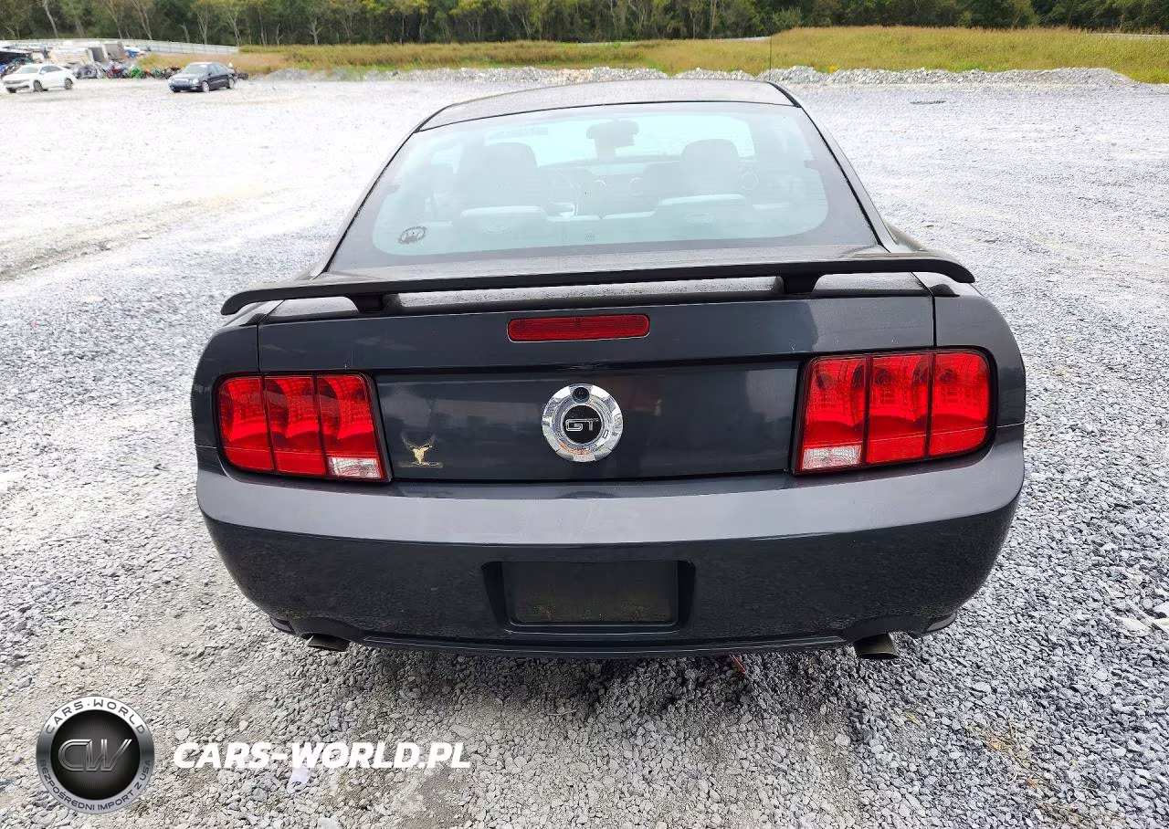 2007 Ford Mustang Gt VIN:1ZVHT82H175215604 - 6