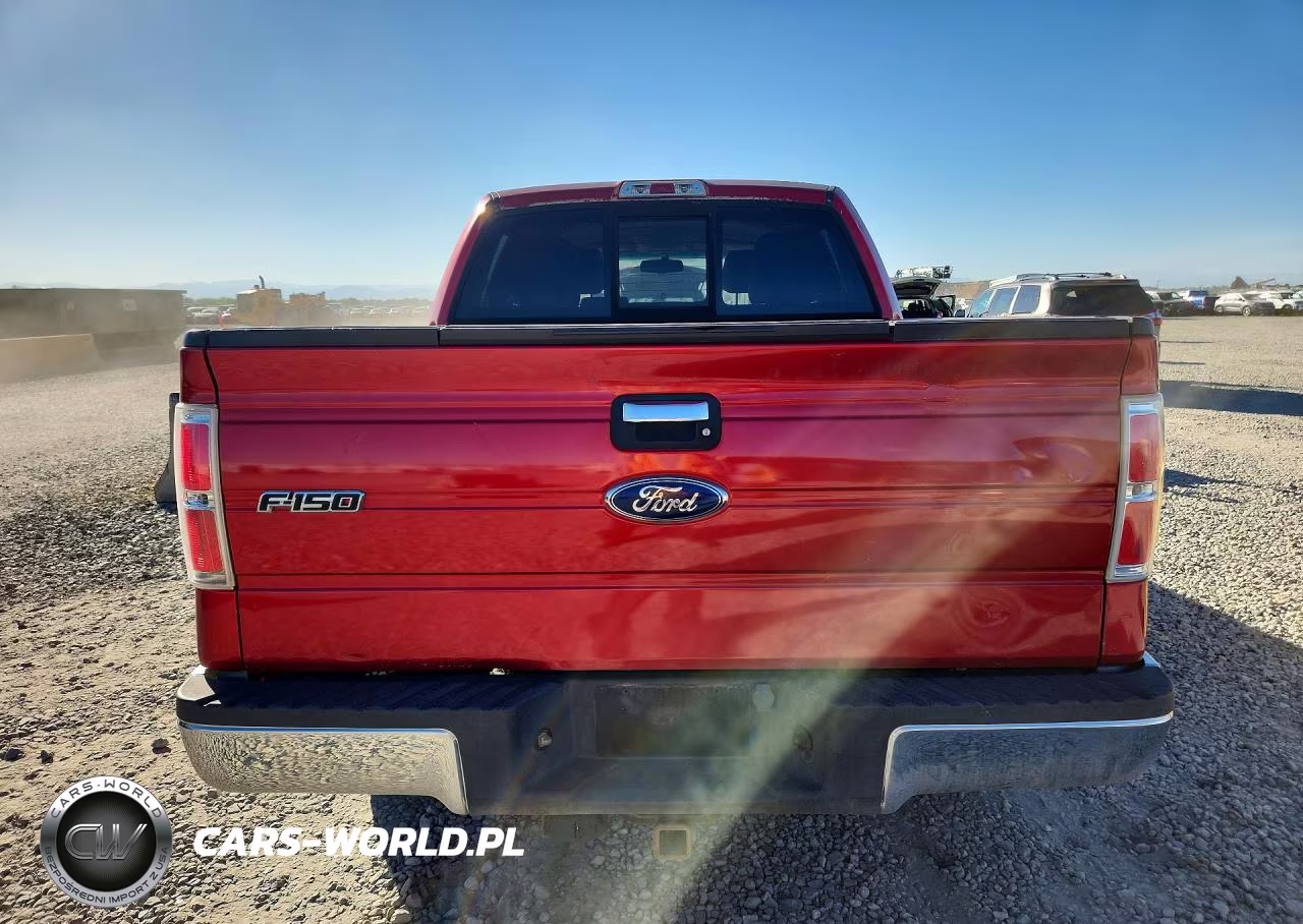2010 Ford F150 Supercrew VIN:1FTEW1E86AFD71350 - 6