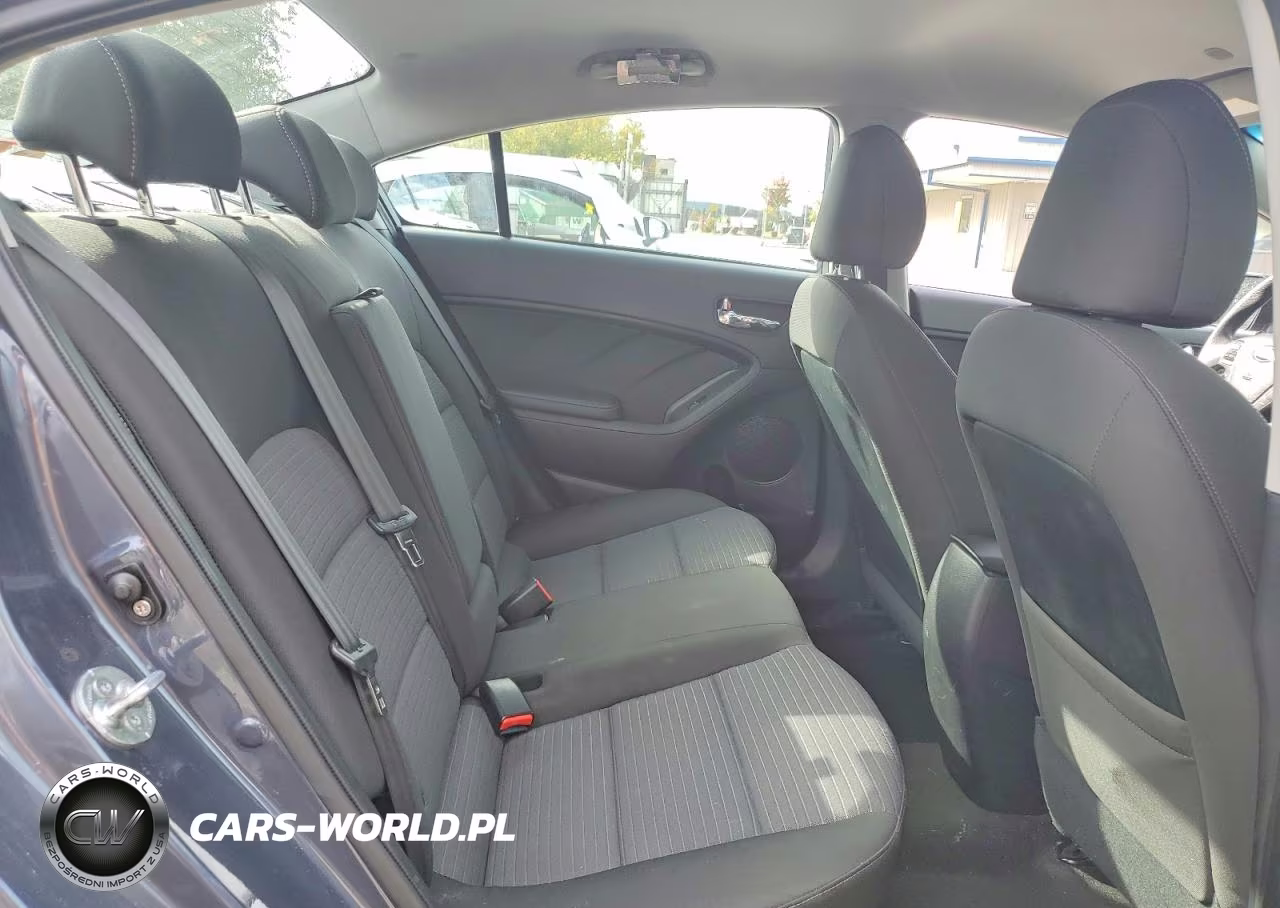 2014 Kia Forte Lx VIN:KNAFX4A66E5222467 - 10