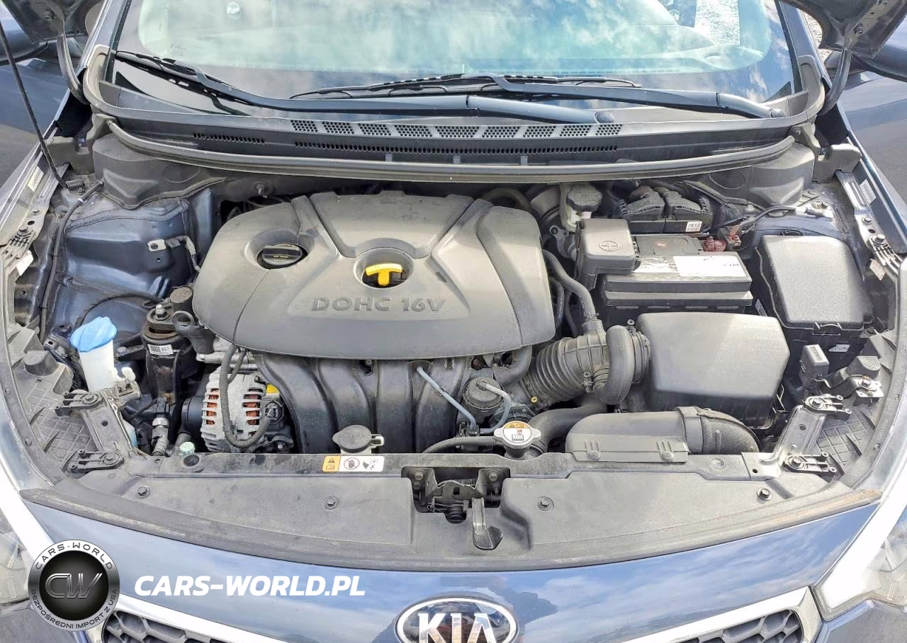 2014 Kia Forte Lx VIN:KNAFX4A66E5222467 - 11