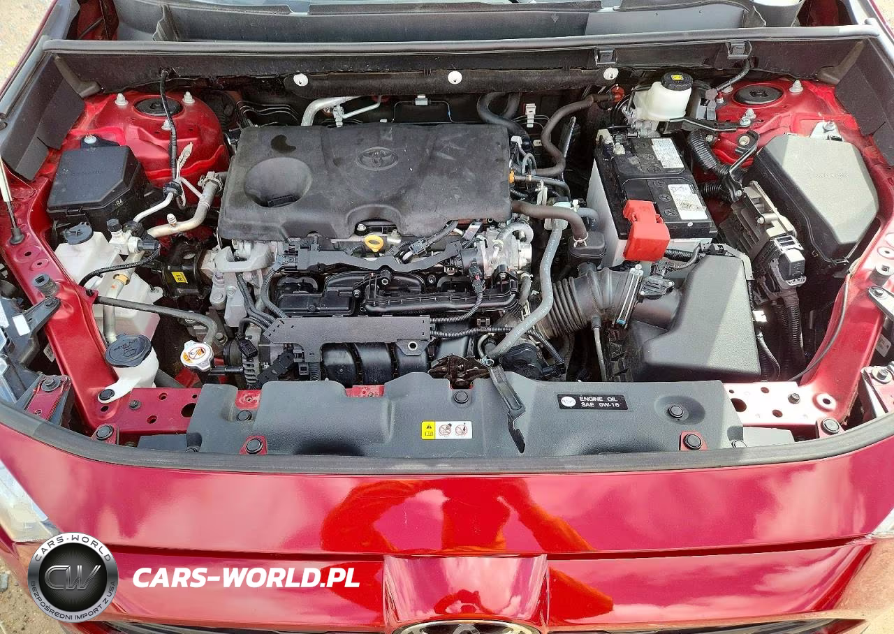 2024 Toyota Rav4 Xle VIN:2T3P1RFV0RW455166 - 12