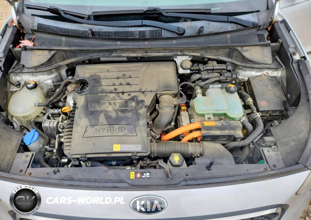 2017 Kia Niro Lx VIN:KNDCB3LCXH5074698 - 11