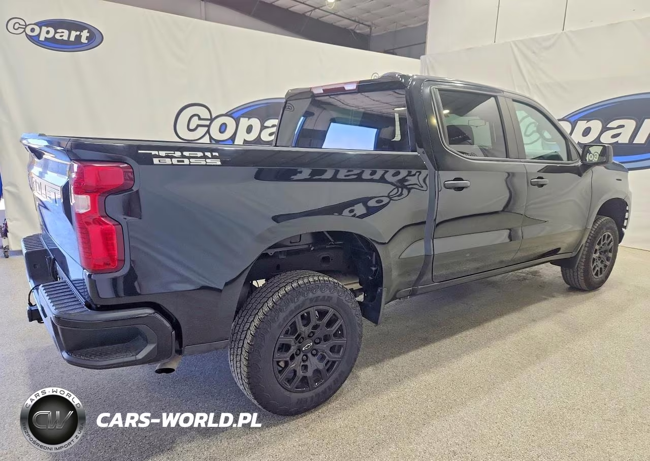 CHEVROLET SILVERADO VIN:3GCPYCEK5NG171462 - 3