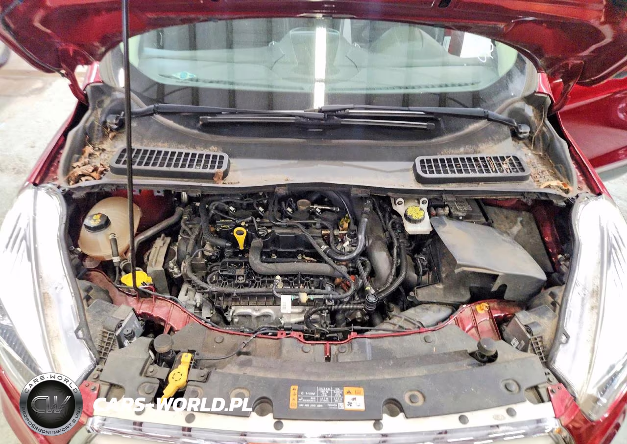 2019 Ford Escape Sel VIN:1FMCU9HD2KUA37684 - 12