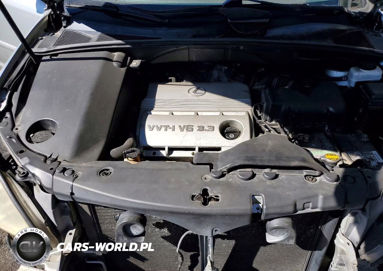 2004 Lexus Rx 330 VIN:2T2HA31U84C029062 - 12