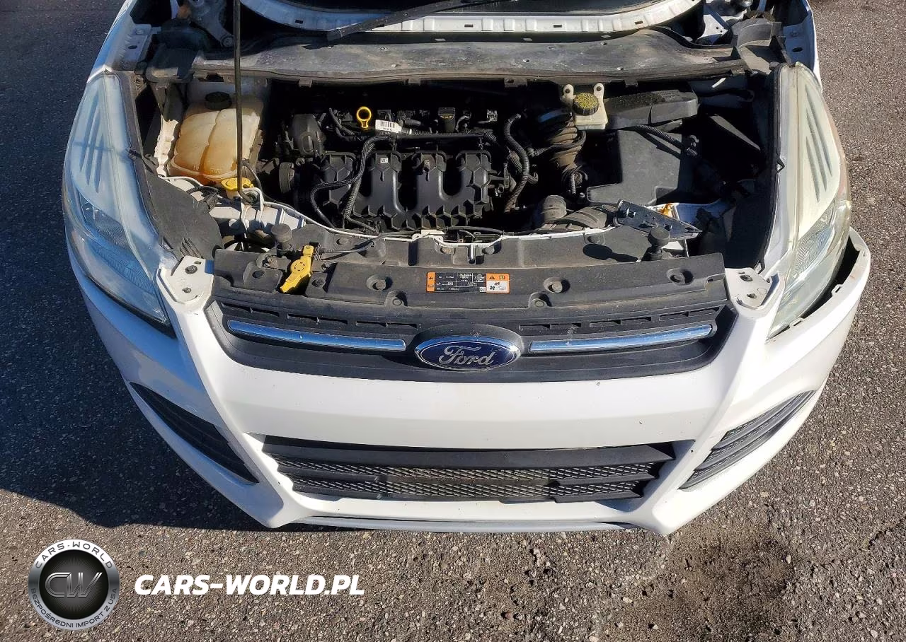 2015 Ford Escape Se VIN:1FMCU9G95FUA79060 - 12