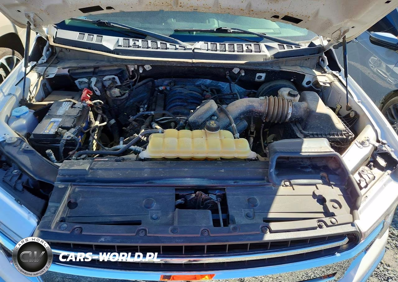 2019 Ford F150 VIN:1FTMF1C55KKE18445 - 11