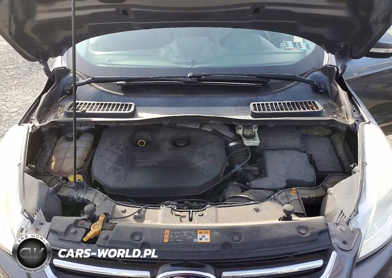 2013 Ford Escape Sel VIN:1FMCU9H91DUA47461 - 12