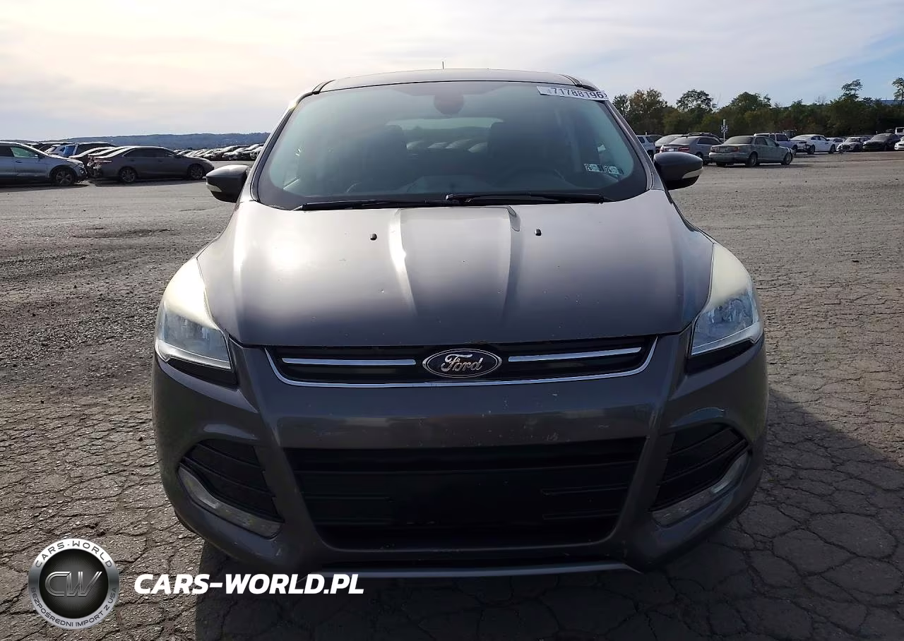 2013 Ford Escape Sel VIN:1FMCU9H91DUA47461 - 5
