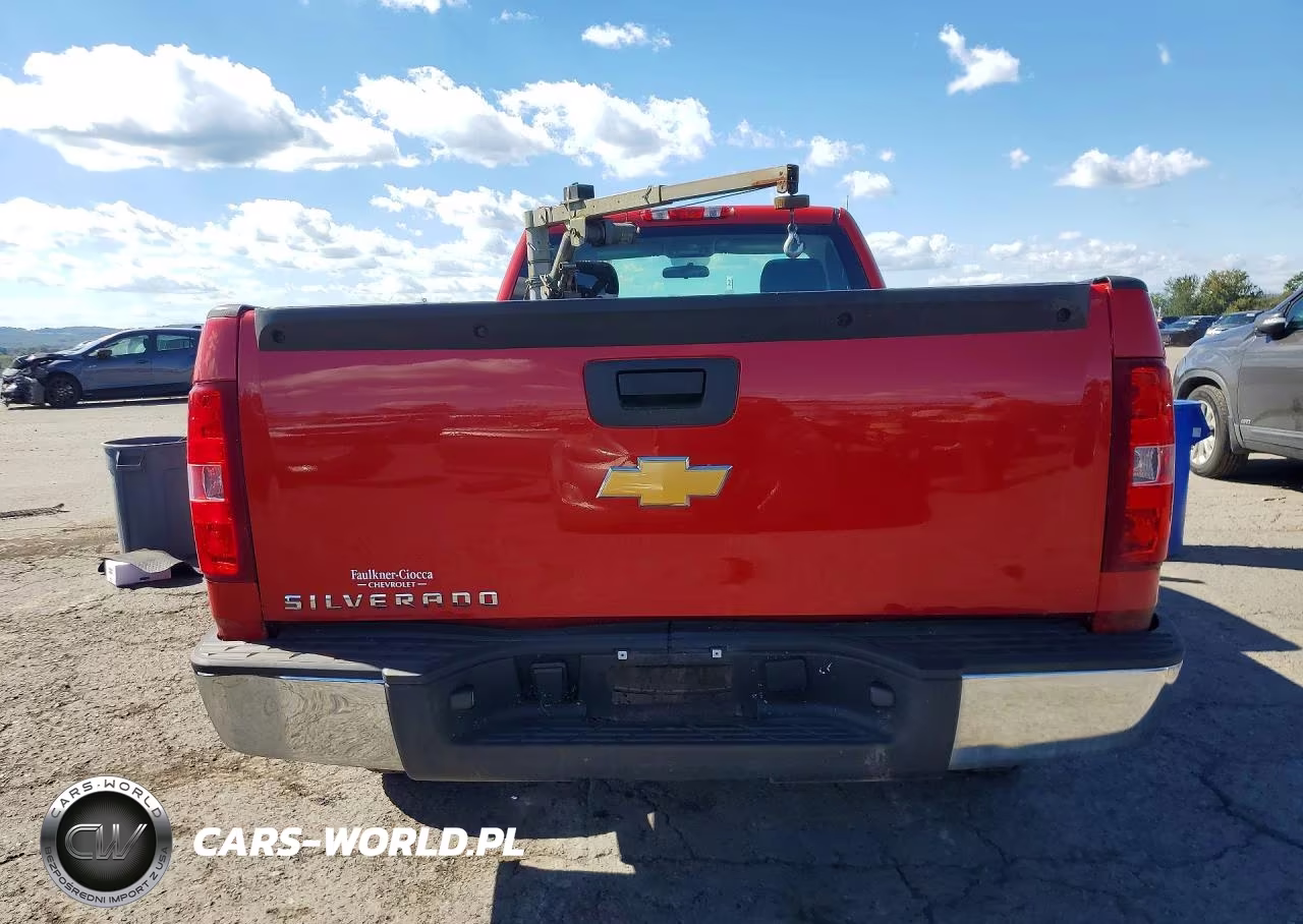 2013 Chevrolet Silverado C1500 VIN:1GCNCPEX4DZ286058 - 6