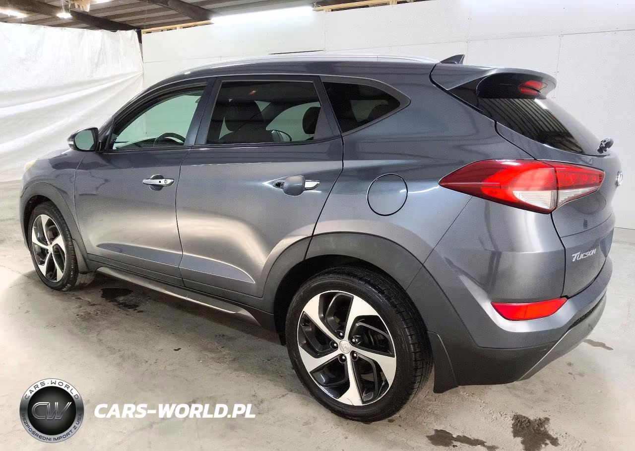 2016 Hyundai Tucson Limited VIN:KM8J33A20GU111756 - 2