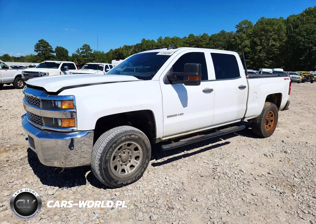 2019 Chevrolet Silverado K2500 Heavy Duty VIN:1GC1KREG1KF179030 - 1