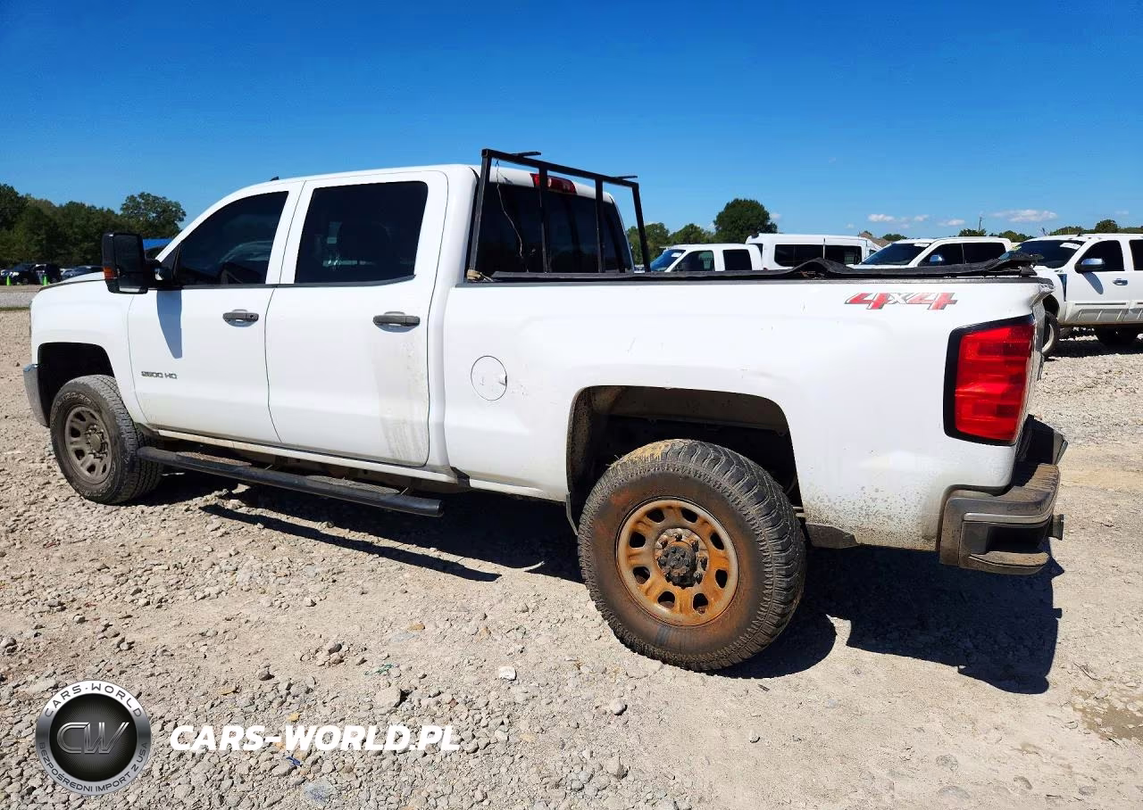 2019 Chevrolet Silverado K2500 Heavy Duty VIN:1GC1KREG1KF179030 - 2