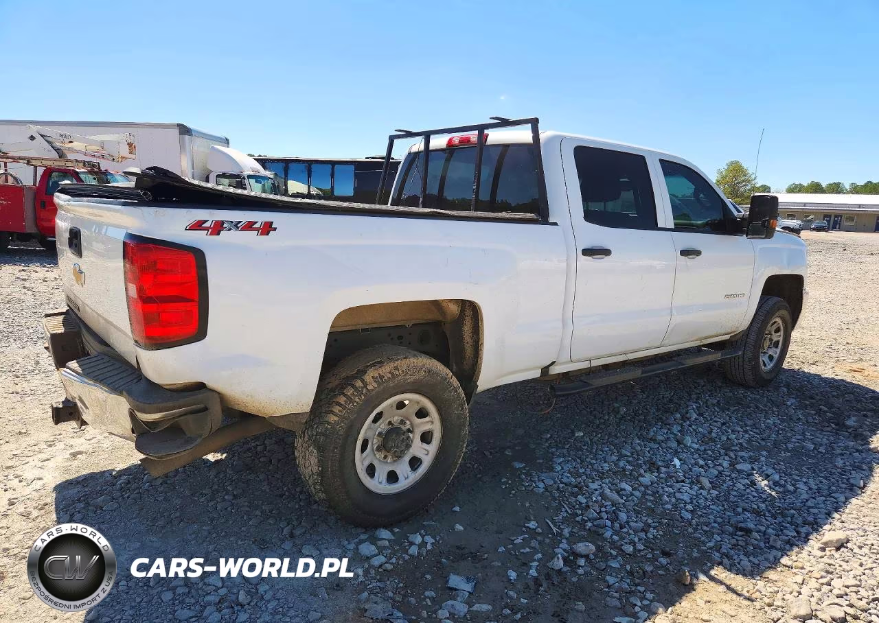 2019 Chevrolet Silverado K2500 Heavy Duty VIN:1GC1KREG1KF179030 - 3